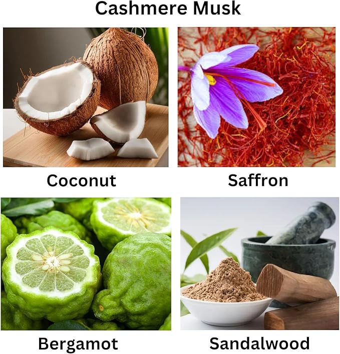 Cashmere Musk Luxury Candle – Cozy & Elegant Scent with Amber, Vetiver & Florals – Vegan, Handcrafted, Phthalate-Free, Cruelty-Free Coconut Wax Candle for Home(Pack of 4, 2 oz. Each)