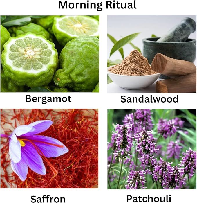 Morning Ritual Scented Candle – Palo Santo, Sandalwood & Earthy Moss – Luxury Soy Candle for Meditation, Relaxation & Yoga – Vegan, Phthalate-Free, Made in USA – 13 oz with Luxury Gift Box