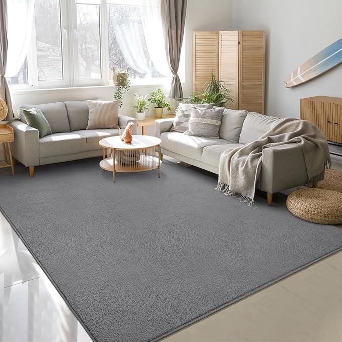 Soft Rugs for Living Room 6x9 Grey, Minimalist Area Rug for Bedroom Nursery Dining Table Dorm, Large Throw Rugs for Men Boys Girls Kids Room Indoor Floor Carpets