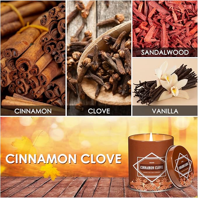 Fall Scented Candle ā Cinnamon Clove Soy Candle 9oz, 50 Hour Burn, Non-Toxic Autumn Decor, Holiday Gift for Women & Men