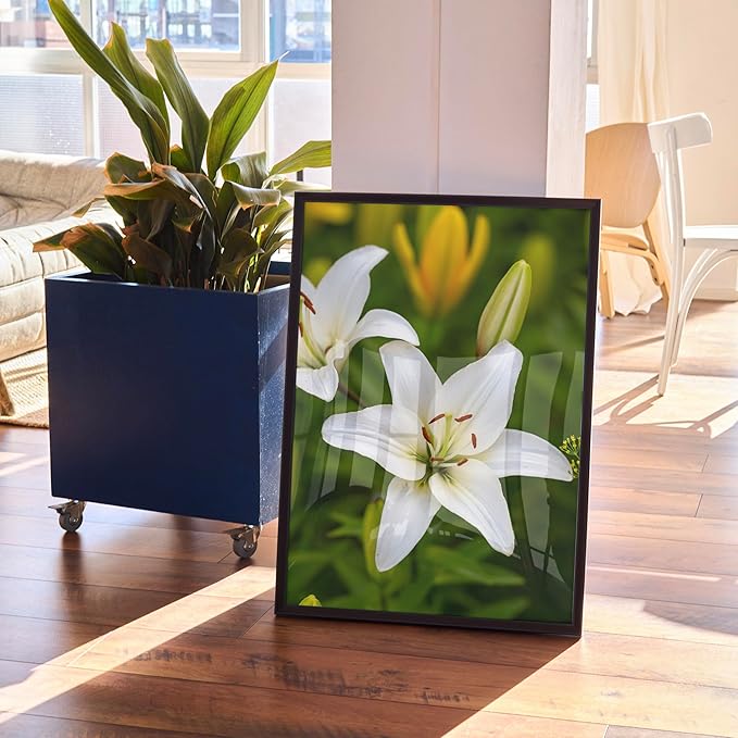 Custom Poster Print, 24x36, Upload Any Photos/Images, Personalized Photo Prints, DIY Your Own Poster, Photo to Poster Printing