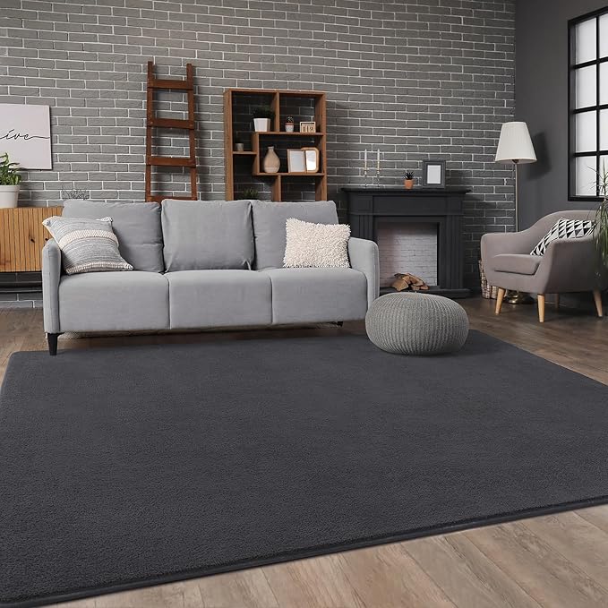 Soft Rugs for Living Room 4x6 Dark Grey, Minimalist Area Rug for Bedroom Nursery Dining Table Dorm, Throw Rugs for Men Boys Girls Kids Room Indoor Floor Carpets