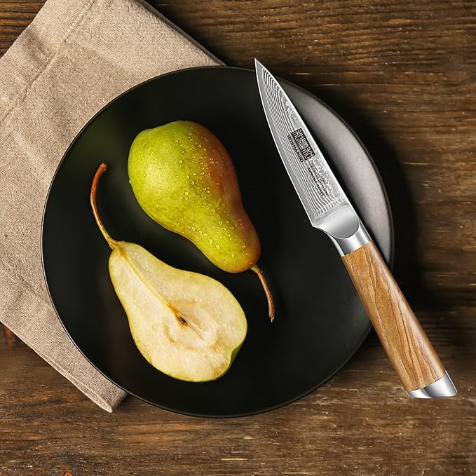 Damascus Paring Knife 3.75 Inch, Professional 67 Layers Damascus Super Steel Small Fruit Knife, Super Sharp Hand Forged Japanese Paring Knife