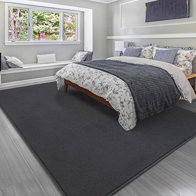 Soft Rugs for Living Room 5x7 Dark Grey, Minimalist Area Rug for Bedroom Nursery Dining Table Dorm, Throw Rugs for Men Boys Girls Kids Room Indoor Floor Carpets