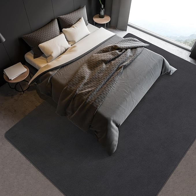 Soft Rugs for Living Room 6x9 Dark Grey, Minimalist Area Rug for Bedroom Nursery Dining Table Dorm, Large Throw Rugs for Men Boys Girls Kids Room Indoor Floor Carpets