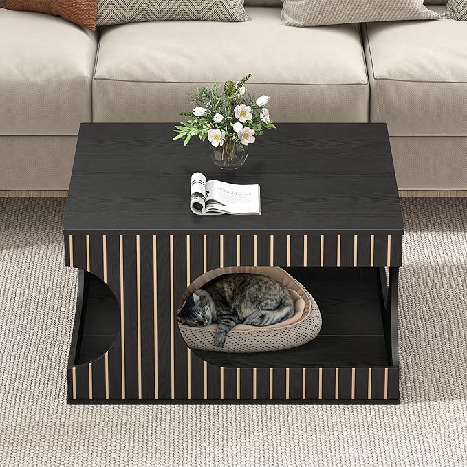 31.5" Square Coffee Table with Storage, Mid-Century Modern Center Table with Arched Cutouts and Carved Lines, 2-Tier Tea Table for Living Room, Cat-Friendly Base (Black)