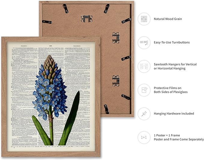 Poster Master Dictionary Art Poster - Blue Hyacinth Print - Flower Art - Floral Art - Gift for Men, Women & Florist - Minimal Decor for Bedroom, Office, Dorm or Flower Shop, 11x14 Beige Framed