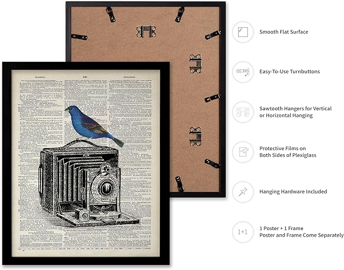 Poster Master Dictionary Art Poster - Antique Camera Print - Bird Art - Photography Art - Gift for Men, Women & Photographer - Chic Decor for Living Room, Bedroom or Office, 11x14 Black Framed