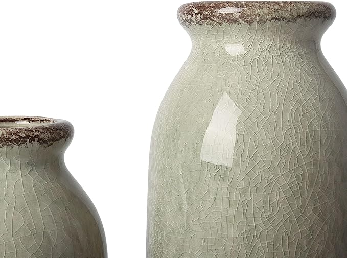 VICTOR & TERESA Green Ceramic Vases Home Decor, Farmhouse Vase for Flowers, Flower Vase Set of 2, Rustic Decorative Vases for Pampas Grass, Table, Living Room, Shelf, Centerpieces, 8 inch