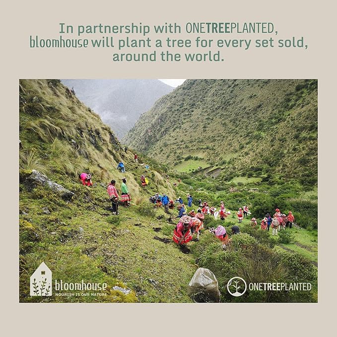 Bloomhouse Corsica Clay 4 Piece Mug Set - Burnt Apricot Terracotta