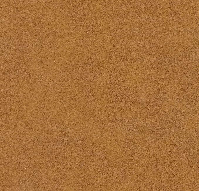 HomePop Upholstered Storage Bench with Metal Leg Home Décor|Bench with Storage for Living Room & Entryway - Faux Leather Brown