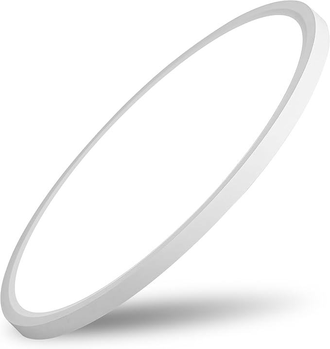 20 Inch Large Dimmable LED Flush Mount Ceiling Light - 42W 4200LM & 3CCT 3000K/4000K/6000K, Flat Round Low Profile Ceiling Fixtures for Bedroom, Kitchen,Office,White
