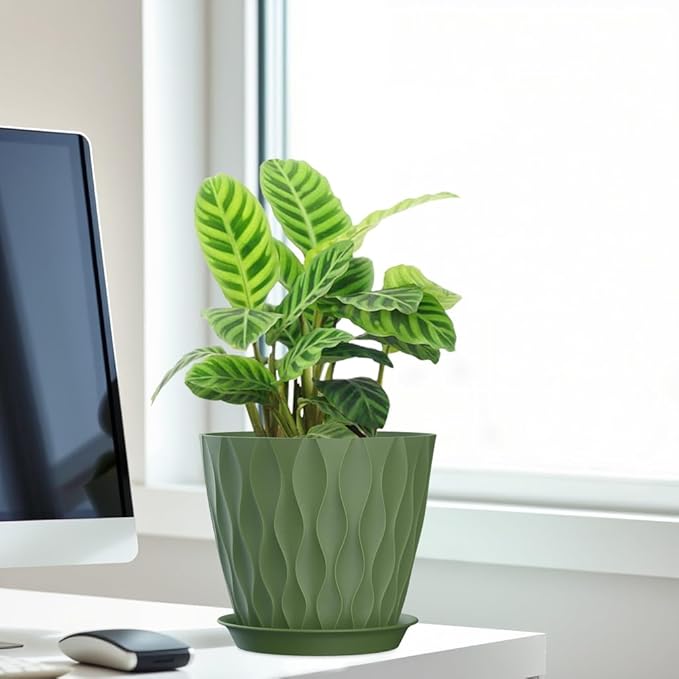 7 Inch Plant Pots Set of 5, Plastic Flower Pots with Drainage Holes and Trays, Planter Pot for Indoor Plants, Decorative Pots for Plants Indoor/Outdoor （Multicolor）