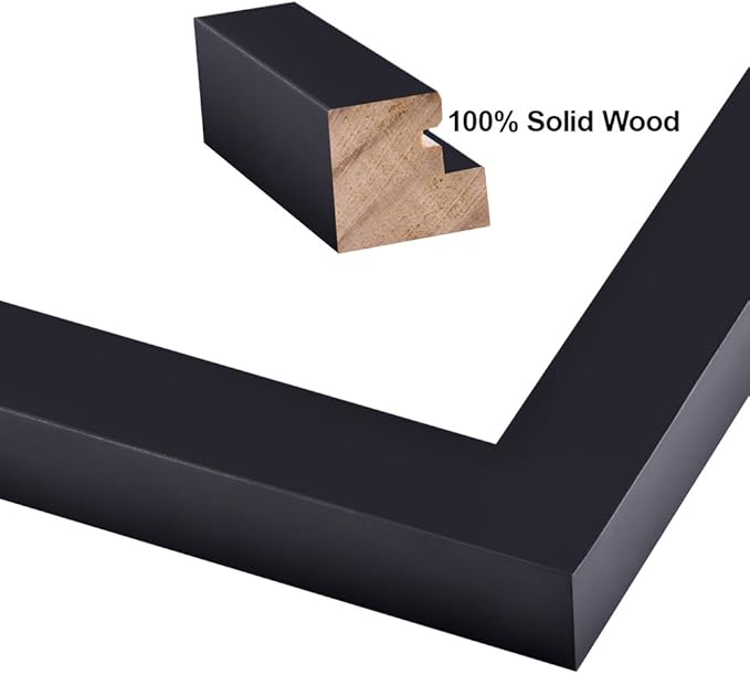 RPJC 11 x 14 Picture Frames Made of Solid Wood and High Definition Glass Display Pictures 8x10 with Mat or 11x14 Without Mat for Wall Mounting Photo Frame Black