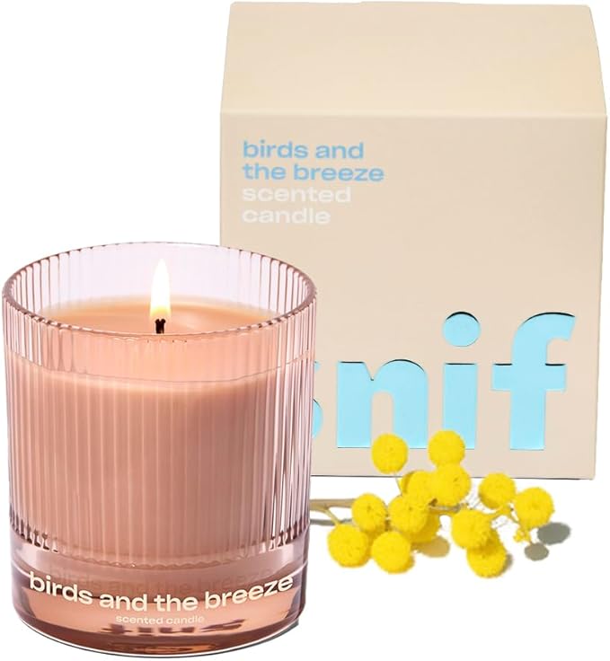 Birds and The Breeze Luxury Scented Candle by Snif, Light and Airy Scent, 50+ Hours, 100% Cotton Fiber Wicks, Soy Wax Blend, Non-Toxic, Vegan, 8.5 oz…
