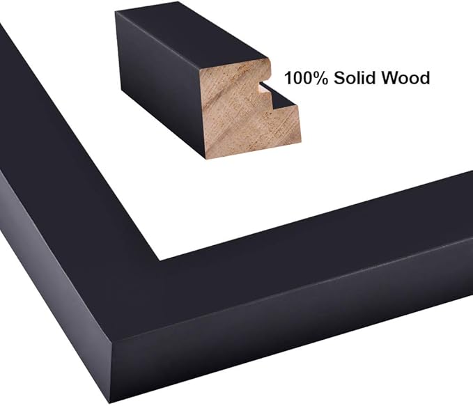 RPJC 8x10 inch Picture Frames Made of Solid Wood and High Definition Glass Display Pictures 5x7 with Mat or 8x10 Without Mat for Wall Mounting Photo Frame Black