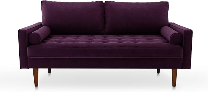 Modern Sofa,70 Inch Velvet Couch for Living Room,Spring Cushions,Easy Assembly Modern Couches with Throw Pillow for Small Spaces (Eggplant)