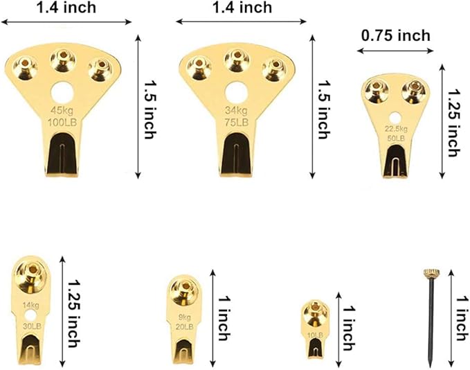 125 Pcs Heavy Duty Picture Hanging Kit With Nails for Wooden/Drywall - Professional Hangers for Canvas, Office Pictures, Clock, House Decoration - Holds 10-100 lbs