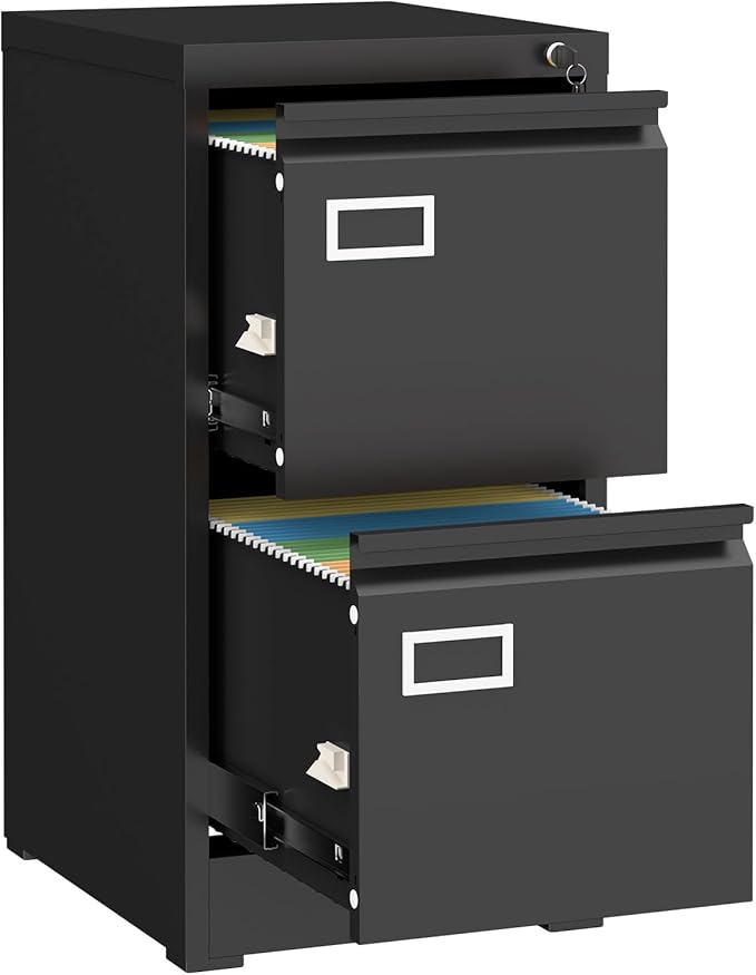 LUCYPAL 2 Drawer File Cabinet with Lock,Metal Filing Cabinets for Home Office,Under Desk Locking Storage Cabinet for Letter/Legal/A4 Files,Assembly Required(Black)
