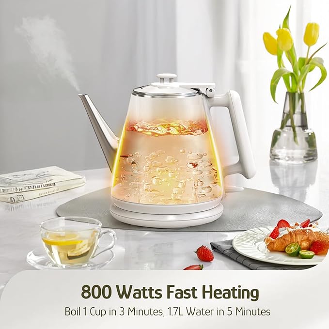 Hazel Quinn Electric Kettle - 1L/34oz Small Tea Kettle, 800W Fast Boil, All 304 Stainless Steel Interior, Double Wall for Cool Touch and Thermal, Auto Shut-Off, BPA-Free, Cordless - Pearl White