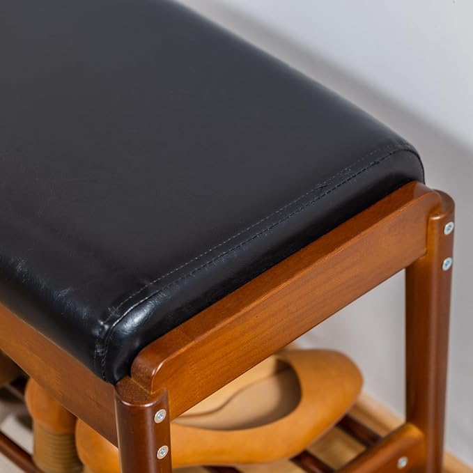 Shoe Bench, Entryway Bench, Wood 2-Tier Shoe Rack with Cushion Padded Seat Shoe Organizer (23.62",Black)