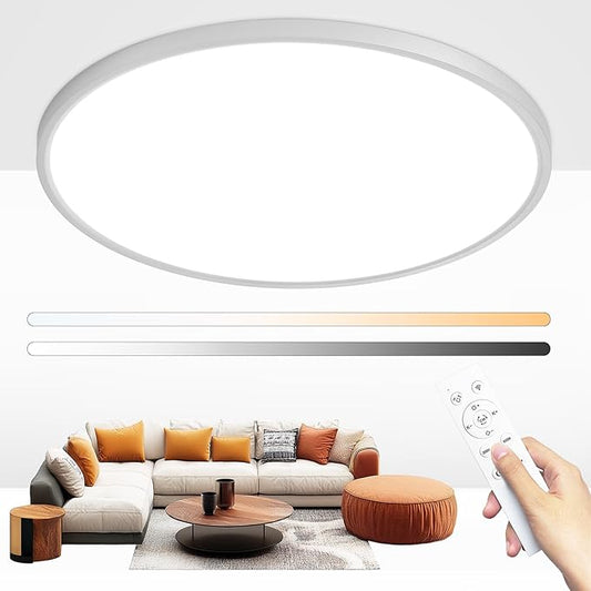 Modern 20'' Led Ceiling Light Fixture, Ultra Thin Flush Mount, Dimmable with Remote Control, 48W, 4800Lumen, Silver, Round, for Bedroom, Living Room, Kitchen, Dining Room, Home Office