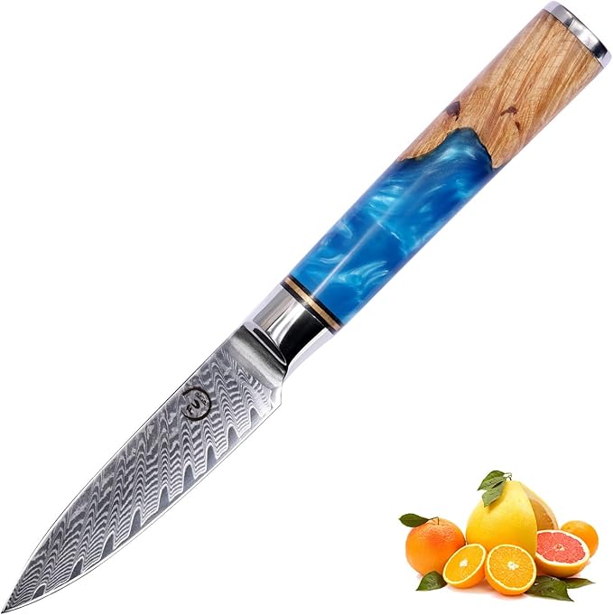 Paring Knife 3.5 Inch Damascus Paring Knife Small Fruit Knife Ultra Sharp Damascus VG10 Core Steel with 66 Layers High Carbon Steel Classical Pattern Blue Handle Unique Gifts with Gift Box