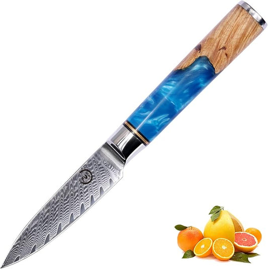 Paring Knife 3.5 Inch Damascus Paring Knife Small Fruit Knife Ultra Sharp Damascus VG10 Core Steel with 66 Layers High Carbon Steel Classical Pattern Blue Handle Unique Gifts with Gift Box