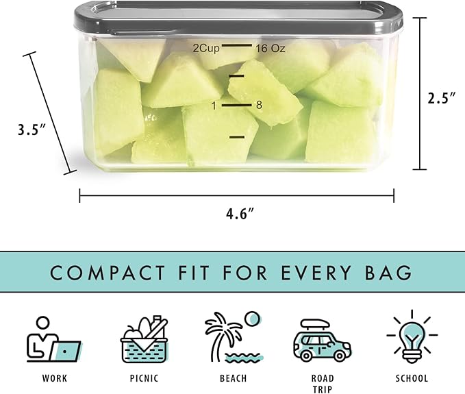 Fit & Fresh Small Plastic Containers With Lids 16 oz, Small Snack Containers With Lids For Adults and Kids, Reusable Leakproof Dressing and Condiment Containers With Two Attachable Ice Packs, 4PK, Light