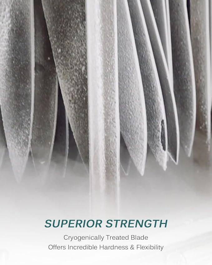 KYOKU 8" Chef Knife, Samurai Series Japanese Chef's Knife with Sharpening Stone, High Carbon Steel Kitchen Knife with Pakkawood Handle Mosaic Pin Gift Box for Meat Vegetable Fruit Chopping Slicing