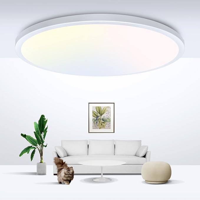 zemty LED Ceiling Light Flush Mount Super Slim 9 Inch 24W 2400lm Ceiling Lights with 3 Color Temperature in One 3000k/4500k/6000K - Round Flat Light Fixture for Kitchen Hallway (1Pack, White)