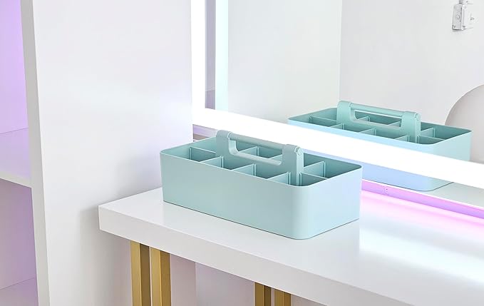 2 PACK - Portable DIY 8 Dividers Durable Plastic Tote Basket Bin Tool & Supply Cleaning Caddy with Handle Made In USA (Mint)