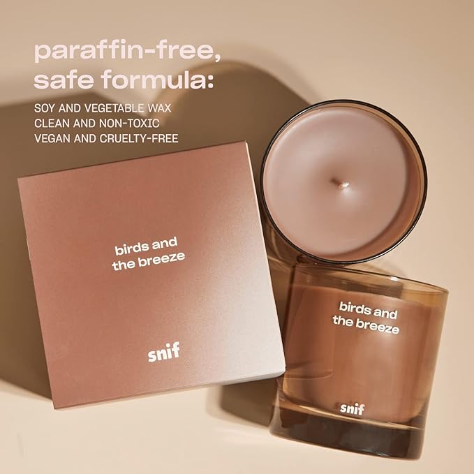 Birds and The Breeze Luxury Scented Candle by Snif, Light and Airy Scent, 50+ Hours, 100% Cotton Fiber Wicks, Soy Wax Blend, Non-Toxic, Vegan, 8.5 oz…