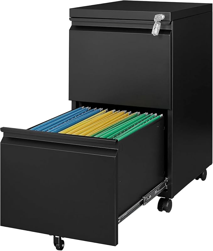 2 Drawer File Cabinet with Lock，Locking Filing Cabinet Under Desk,Rolling File Cabinets for Home Office/Legal/Letter Size,Fully Assembled (Black)