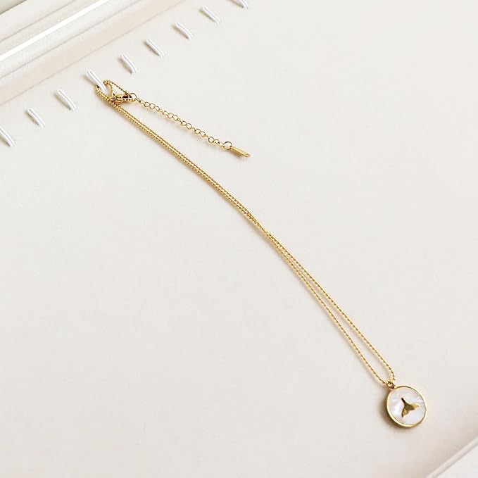 Wudygirl Necklace Organizer with Clear Glass Lid Stackable Jewelry Organizer Tray with 20 Hooks for Necklace Bracelet(Beige Necklace Box)