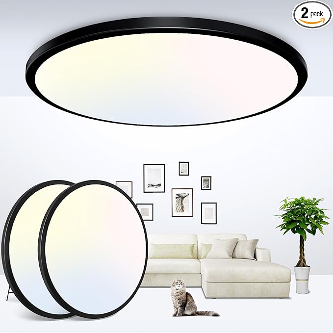 zemty 12 Inch Black Ceiling Light - 28W 3200lm LED Ceiling Light Flushmount, 3 Color Temperature in One 3000k/4500k/6000K Modern Ceiling Lamp for Bedroom Kitchen DiningRoom - 2Pack