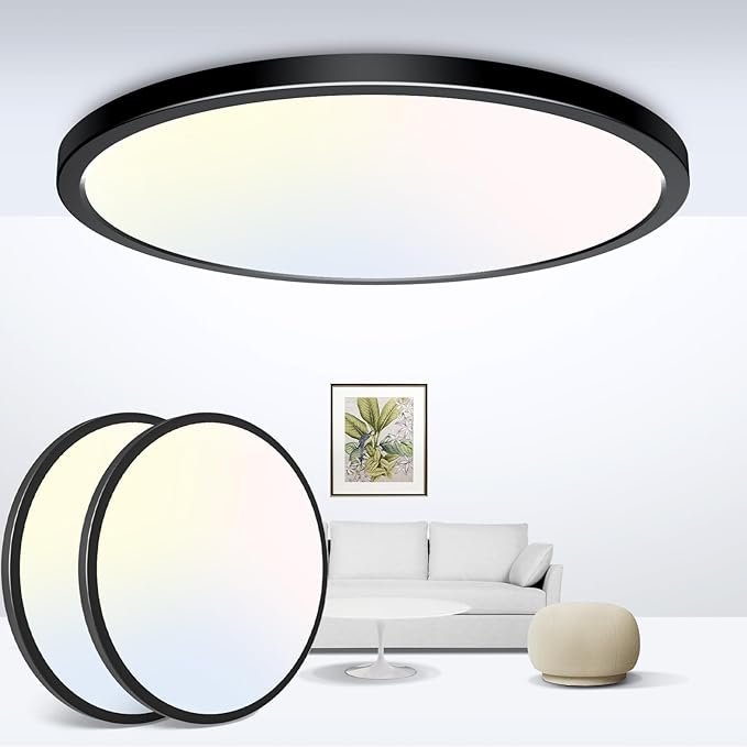 zemty Black Ceiling Light 9 Inch,24W 2400lm Bright LED Flush Mount Light Fixture 3000K/4500K/6000K Adjustable,Thin Flat Ceiling Lamp for Bathroom Closet Pantry Hallway - 2Pack