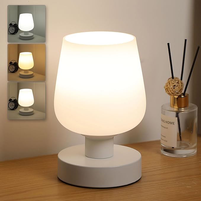 Touch Bedside Table Lamp, Dimmable Small Table Lamp for Bedroom with White Opal Glass Lamp Shade and LED Bulb, Modern Nightstand Lamps, Desk Lamp with Plug for Living Room Bed