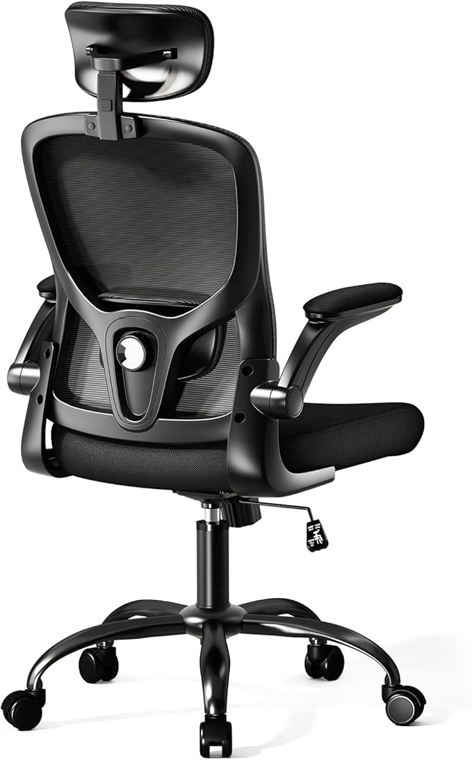 Multi-Adjustable Ergonomic Office Chair, Study Chair, Summer Mesh Comfortable High Back Chair, Headrest, Lumbar Support, Armrest, Seat Height.（Black）