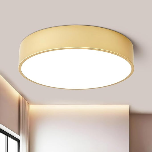 Dimmable Modern Large Flush Mount Close to Ceiling Light Fixture,Round Painted Gold LED Ceiling Mounted Lights Fixtures,5CCT 2700K-6000K Lighting for Kitchen Master Bedroom Living Room,15.7in