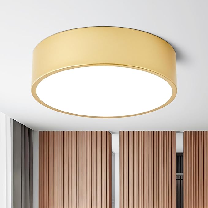 Dimmable Modern Flush Mount Ceiling Light Fixture,Painted Gold Round LED Ceiling Lights Fixtures,5CCT 2700K-6000K Lighting for Kitchen Hallway Bedroom Laundry Room Entryway Closet 11.81 inch