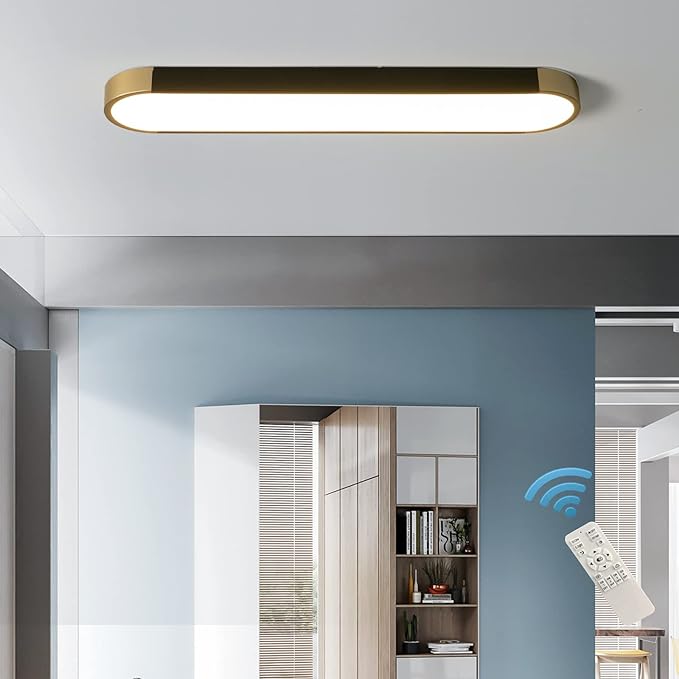 Tioolo Modern Ceiling Light, Acrylic Linear Ceiling Lamp, Dimmable LED Ceiling Light Fixture with Remote Control, Kitchen Dining Living Room Cloakroom Hallway Lighting (36W/27.5in L)