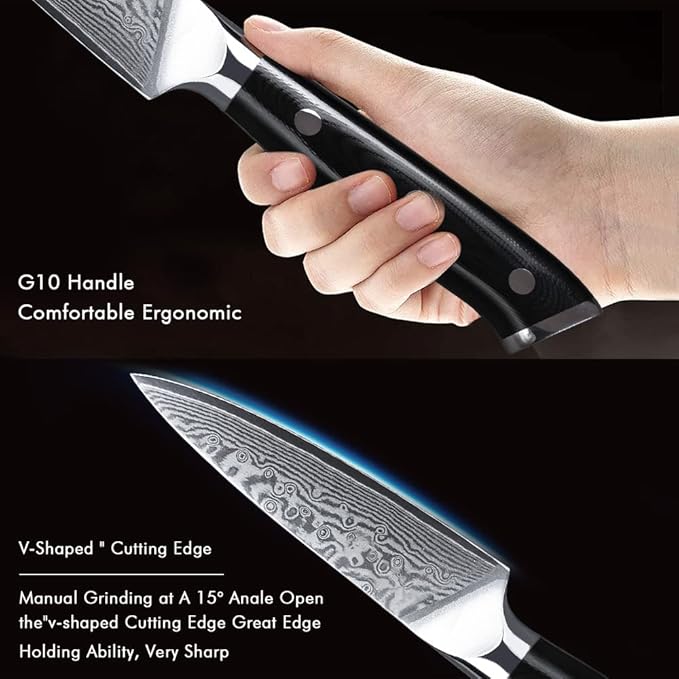 Professional Paring Knife 3.5 Inch - Classic Damascus Japanese VG-10 Steel Fruit Knife