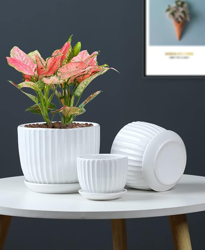 Ton Sin White Plant Pots Set of 3,Indoor Ceramic Flower Pot with Saucers,6.7"&5.5"&3.9" Inch Small to Medium Sized Planters for Plants,Round Modern Garden Pots