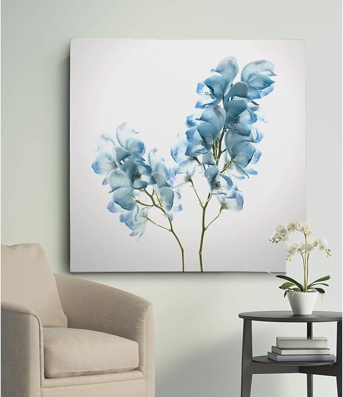 Wexford Home Gorgeous Blue II Gallery Wrapped Canvas Wall Art, 24x24,