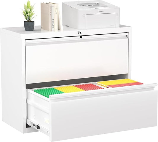 Greenvelly 2 Drawer Filing Cabinet, White Lateral File Cabinet with Lock, Metal File Cabinets with Adjustable Hanging Bars&2 Keys, Locking File Cabinet for Home Office, Legal/F4/Letter, Etc