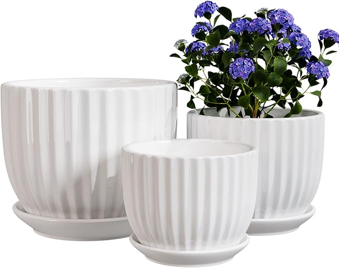Ton Sin White Plant Pots Set of 3,Indoor Ceramic Flower Pot with Saucers,6.7"&5.5"&3.9" Inch Small to Medium Sized Planters for Plants,Round Modern Garden Pots
