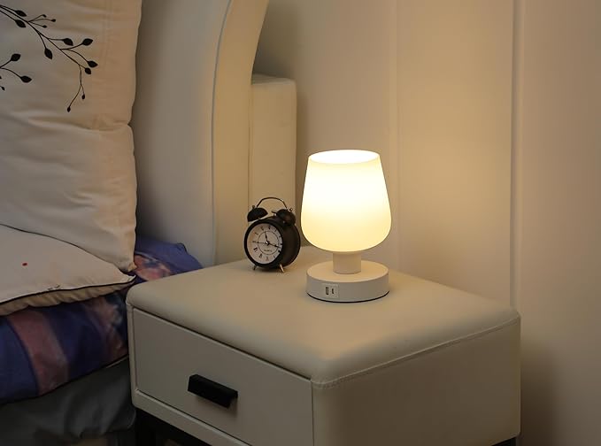 Touch Bedside Table Lamp with USB A+C Ports, Dimmable Small Table Lamp for Bedroom with White Opal Glass Lamp Shade and LED Bulb, Modern Nightstand Lamps, Desk Lamp with Plug for Living Room