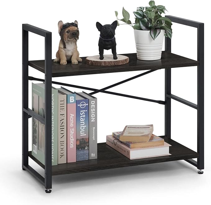 CAPHAUS 2 Tier Small Bookshelf, 24 Inch Width Free Standing Shelf, Bookcase Shelf Storage Organizer, Industrial Book Shelves for Home Office, Living Room, Black Shelves & Metal Frame