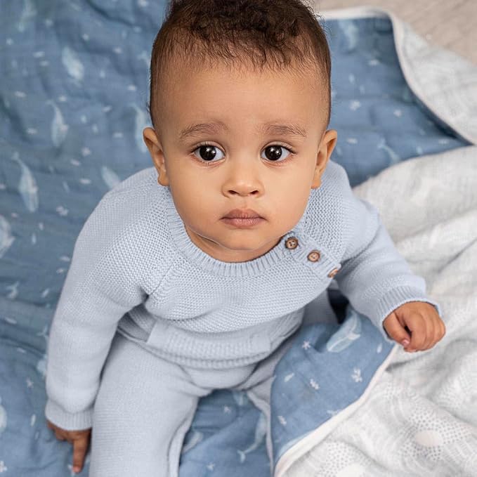 aden + anais 100% Organic Cotton Muslin Baby Blanket Crib Bedding for Newborn Baby and Toddler, Nursery Blanket for Boys and Girls, Baby Registry and Shower Gift - Oceanic